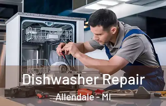  Dishwasher Repair Allendale - MI