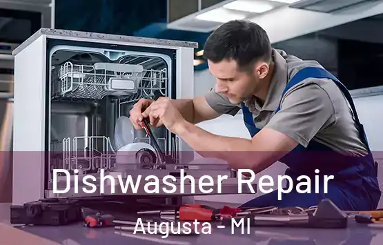 Dishwasher Repair Augusta - MI