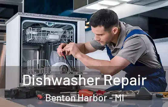  Dishwasher Repair Benton Harbor - MI