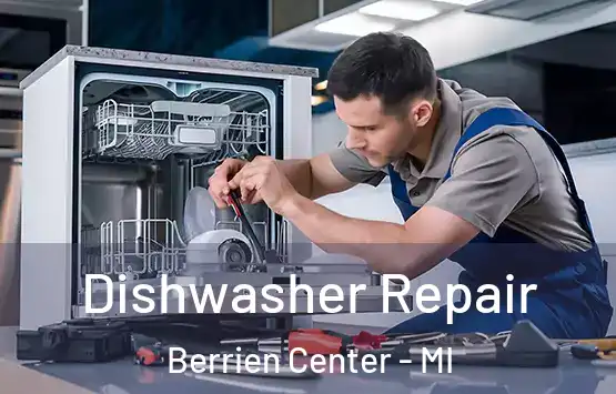  Dishwasher Repair Berrien Center - MI