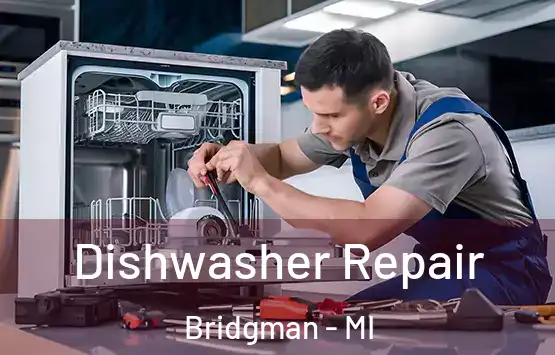  Dishwasher Repair Bridgman - MI