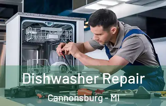  Dishwasher Repair Cannonsburg - MI