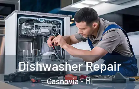  Dishwasher Repair Casnovia - MI