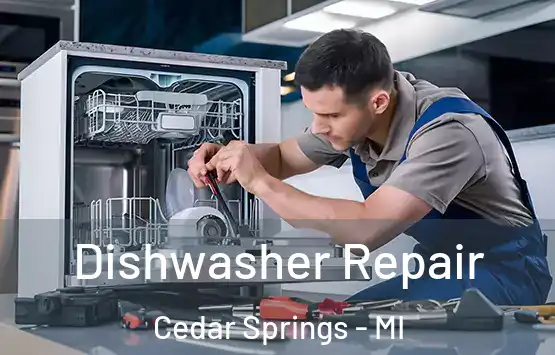  Dishwasher Repair Cedar Springs - MI