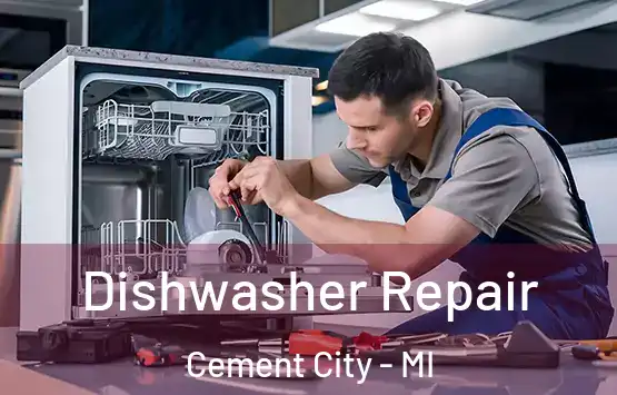  Dishwasher Repair Cement City - MI