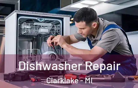  Dishwasher Repair Clarklake - MI