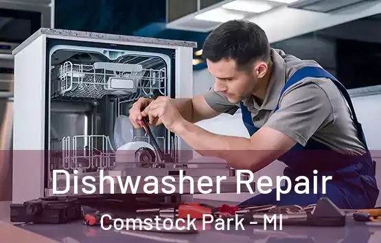  Dishwasher Repair Comstock Park - MI