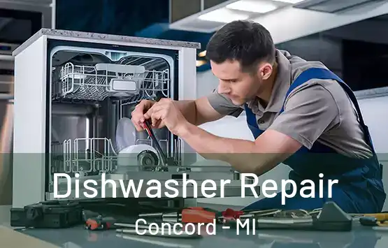  Dishwasher Repair Concord - MI