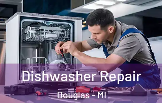  Dishwasher Repair Douglas - MI