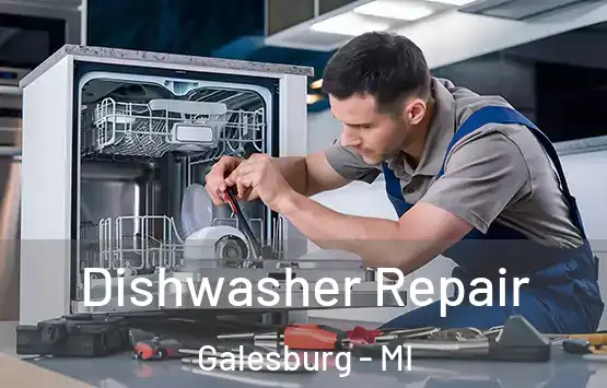  Dishwasher Repair Galesburg - MI