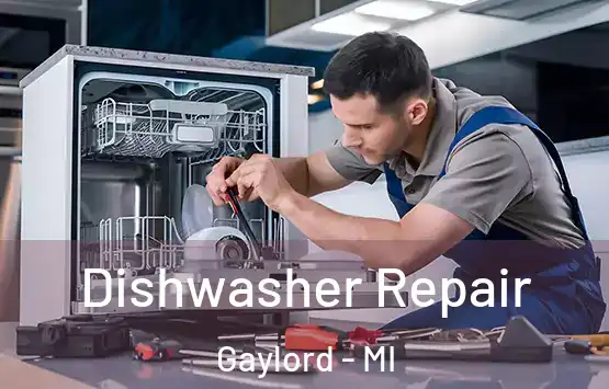 Dishwasher Repair Gaylord - MI