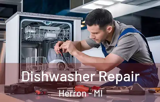  Dishwasher Repair Herron - MI