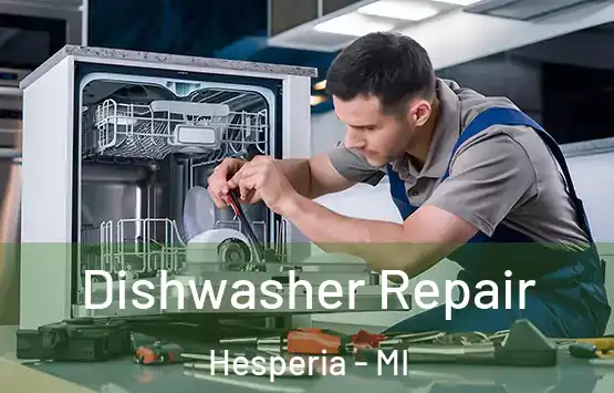  Dishwasher Repair Hesperia - MI