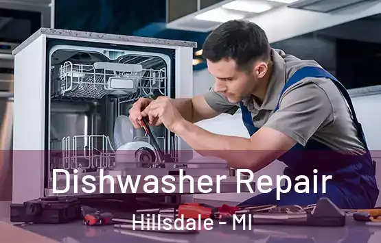  Dishwasher Repair Hillsdale - MI