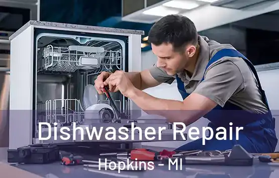  Dishwasher Repair Hopkins - MI