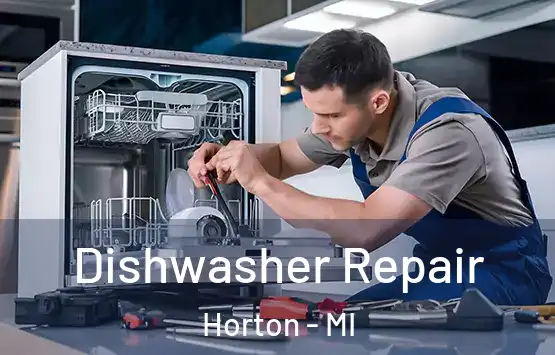  Dishwasher Repair Horton - MI