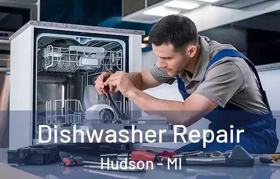  Dishwasher Repair Hudson - MI