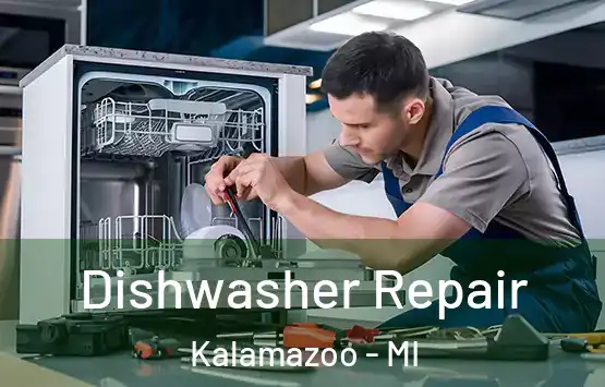  Dishwasher Repair Kalamazoo - MI