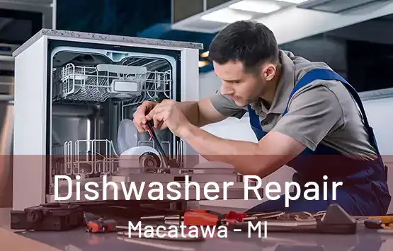  Dishwasher Repair Macatawa - MI