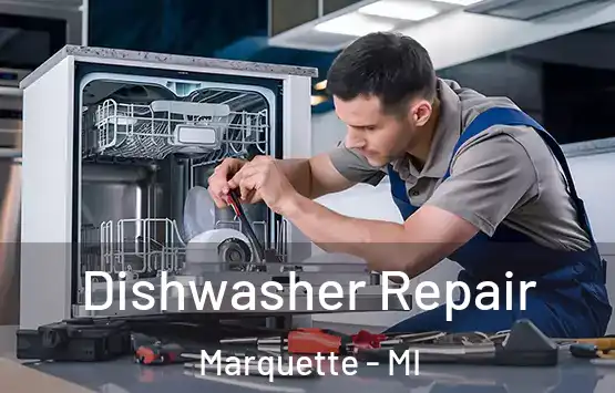  Dishwasher Repair Marquette - MI