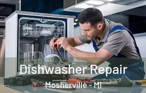  Dishwasher Repair Mosherville - MI