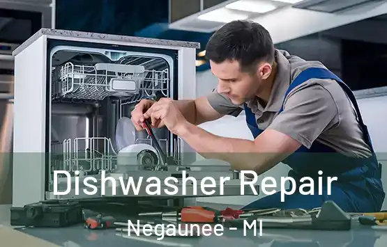  Dishwasher Repair Negaunee - MI