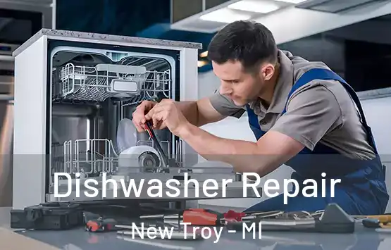  Dishwasher Repair New Troy - MI