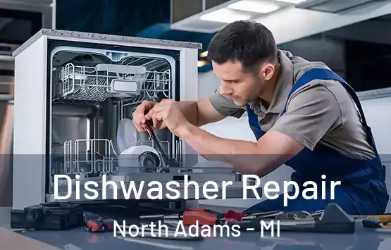  Dishwasher Repair North Adams - MI