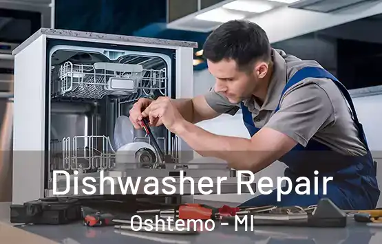  Dishwasher Repair Oshtemo - MI