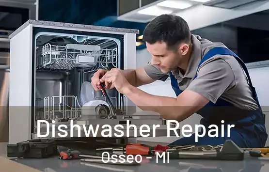  Dishwasher Repair Osseo - MI