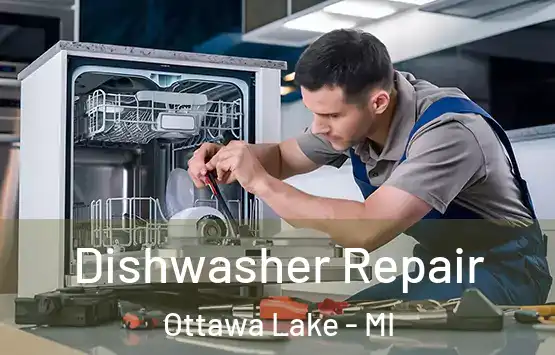  Dishwasher Repair Ottawa Lake - MI
