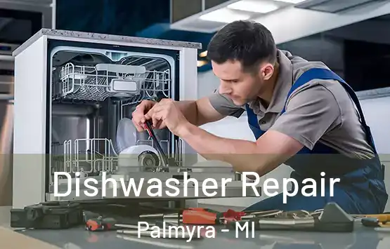  Dishwasher Repair Palmyra - MI