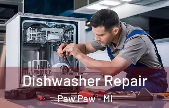  Dishwasher Repair Paw Paw - MI