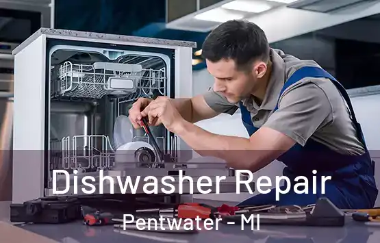  Dishwasher Repair Pentwater - MI