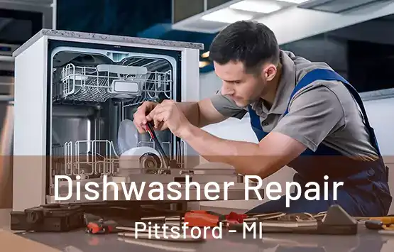  Dishwasher Repair Pittsford - MI