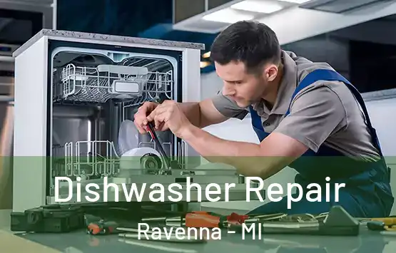 Dishwasher Repair Ravenna - MI