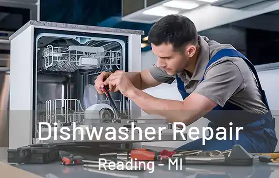  Dishwasher Repair Reading - MI
