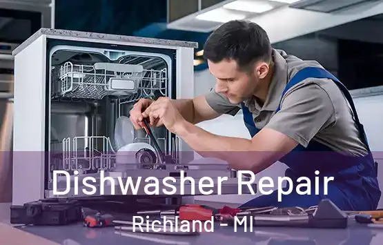  Dishwasher Repair Richland - MI