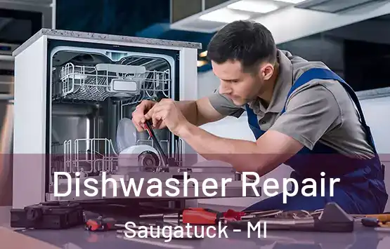  Dishwasher Repair Saugatuck - MI