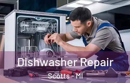  Dishwasher Repair Scotts - MI