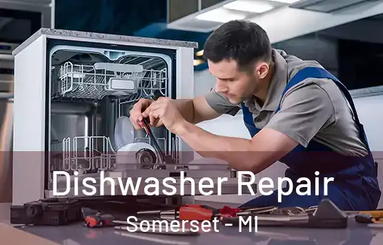  Dishwasher Repair Somerset - MI