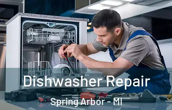  Dishwasher Repair Spring Arbor - MI