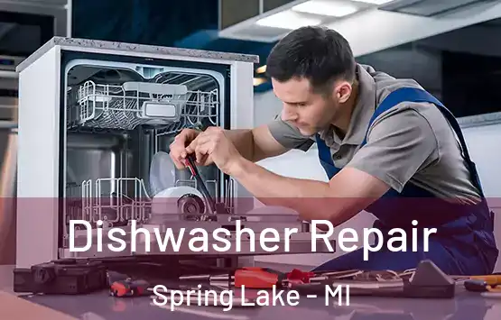  Dishwasher Repair Spring Lake - MI