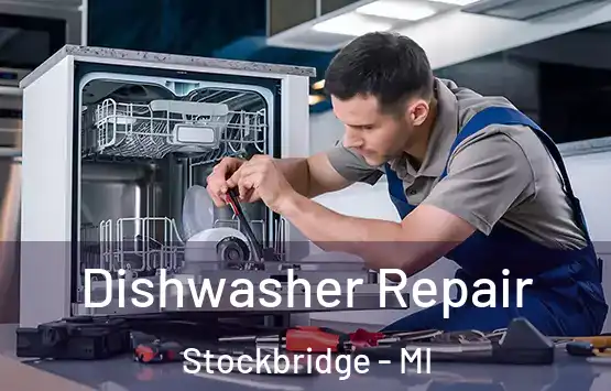  Dishwasher Repair Stockbridge - MI
