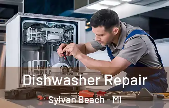  Dishwasher Repair Sylvan Beach - MI
