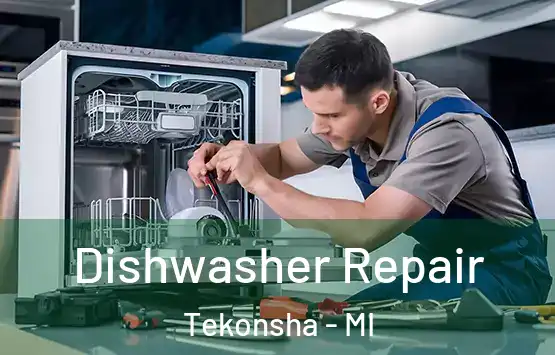  Dishwasher Repair Tekonsha - MI