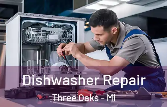  Dishwasher Repair Three Oaks - MI