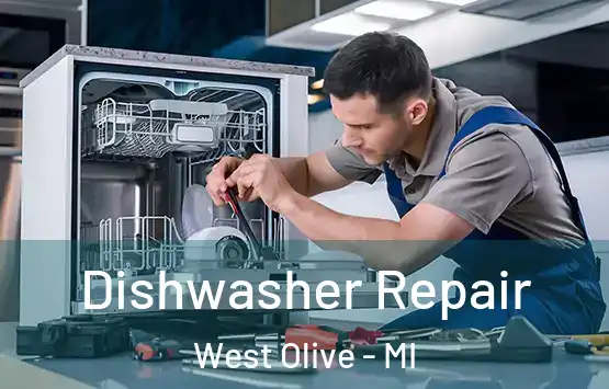  Dishwasher Repair West Olive - MI