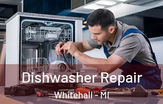  Dishwasher Repair Whitehall - MI