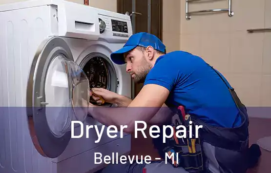  Dryer Repair Bellevue - MI